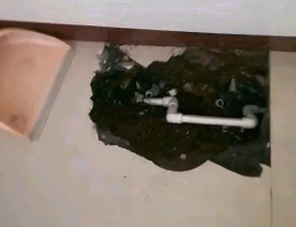 竹溪卫生间测漏水多少钱